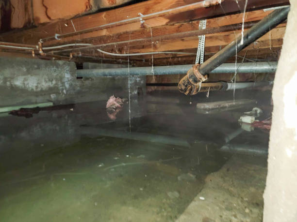 Best Sewage cleanup and water damage restoration  in Bonita Springs, FL
