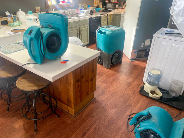 , FL Water damage restoration Company