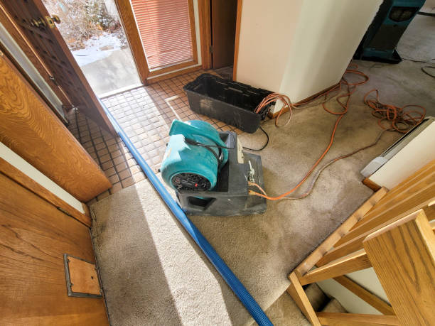 Best Water damage restoration near me  in Bonita Springs, FL