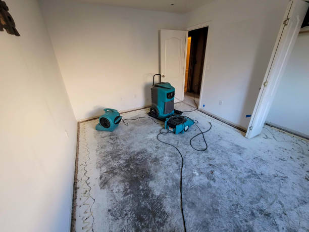 Best Local water damage restoration  in Bonita Springs, FL