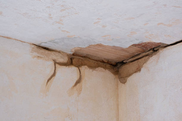 Best Mold removal after water damage  in Bonita Springs, FL