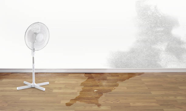 Best Water damage restoration services  in Bonita Springs, FL