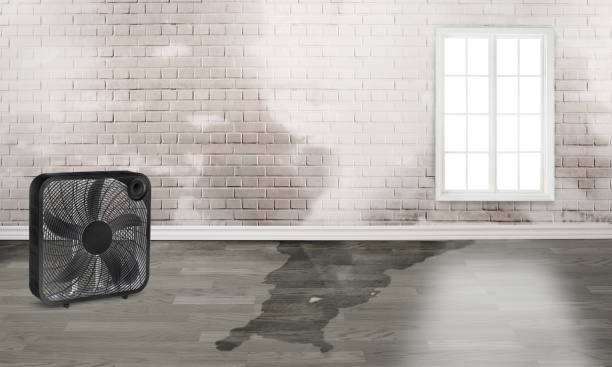 Best Water damage restoration near me  in Bonita Springs, FL