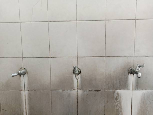 Best 24/7 water damage repair  in Bonita Springs, FL