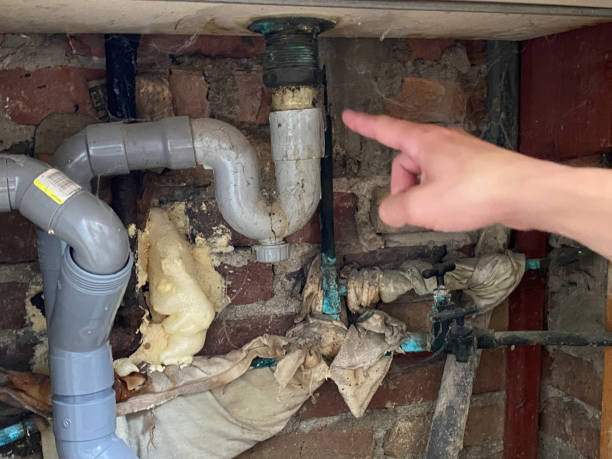 Best Ceiling water damage repair  in Bonita Springs, FL