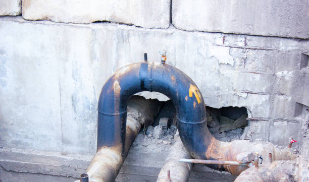 Best Mold removal after water damage  in Bonita Springs, FL