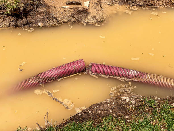 Best Carpet water damage restoration  in Bonita Springs, FL