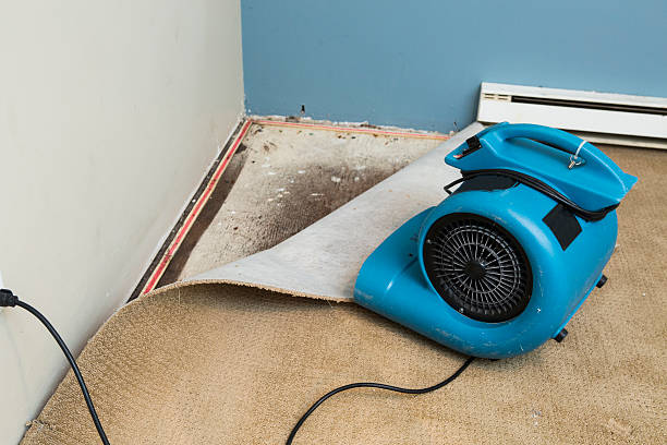 Best Basement water damage restoration  in Bonita Springs, FL